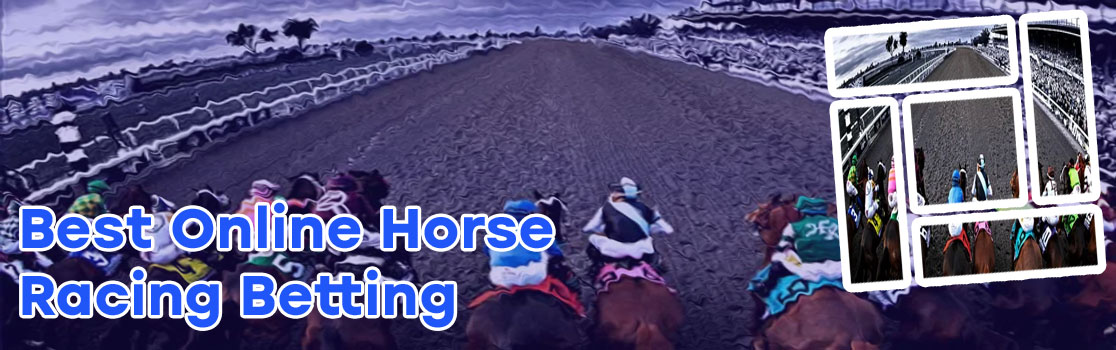 Online horse race betting site in india