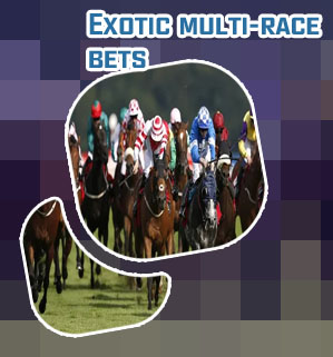 Racing betting